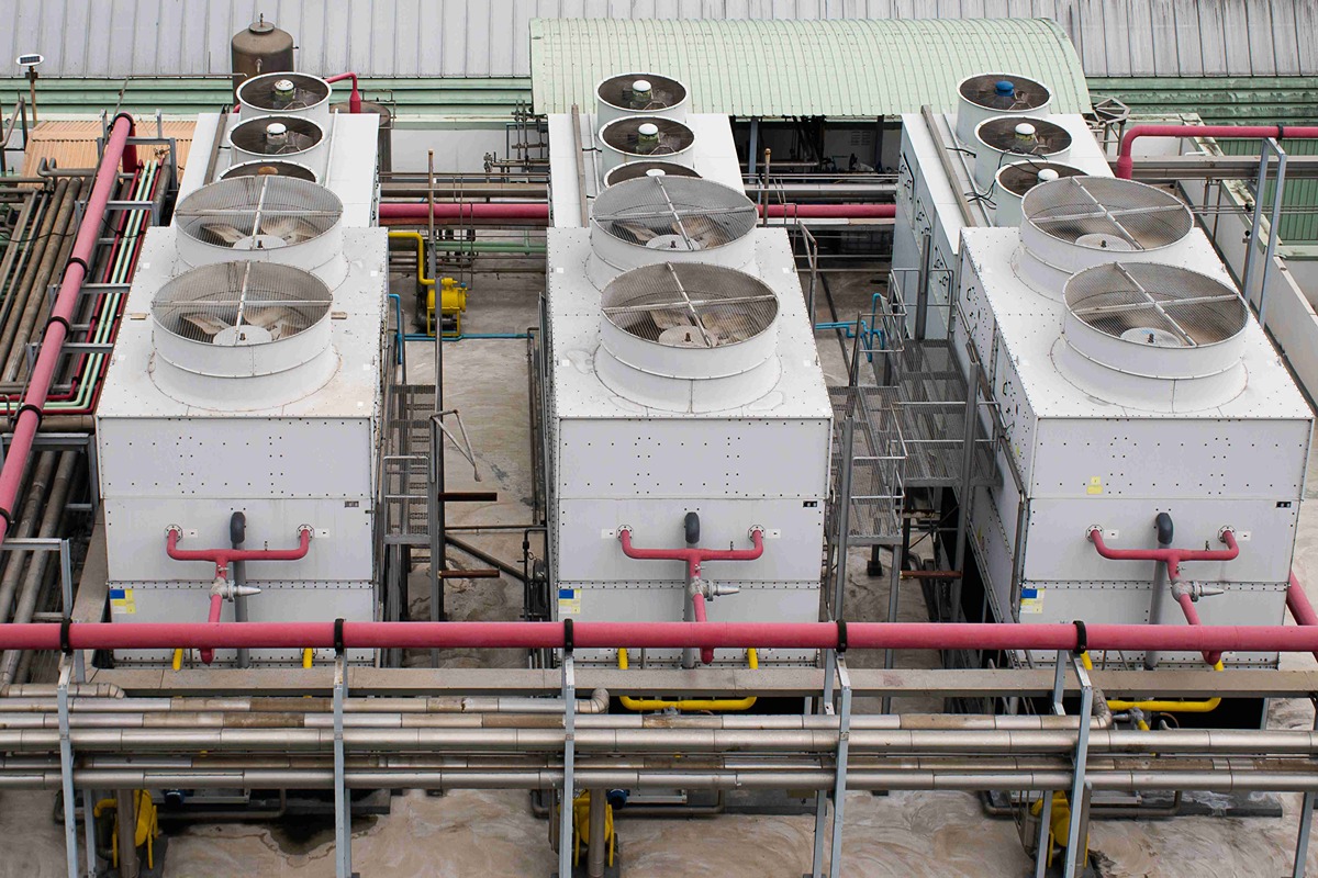 Why Choose Us - Our Services